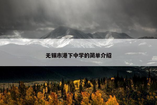 无锡市港下中学的简单介绍