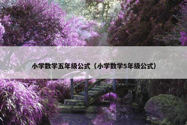 小学数学五年级公式（小学数学5年级公式）