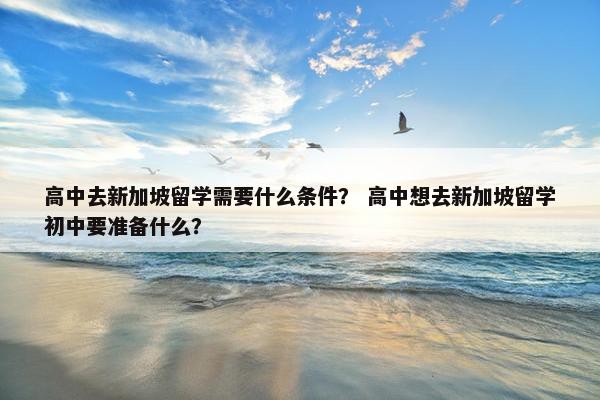 高中去新加坡留学需要什么条件？ 高中想去新加坡留学初中要准备什么？