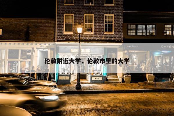 伦敦附近大学，伦敦市里的大学