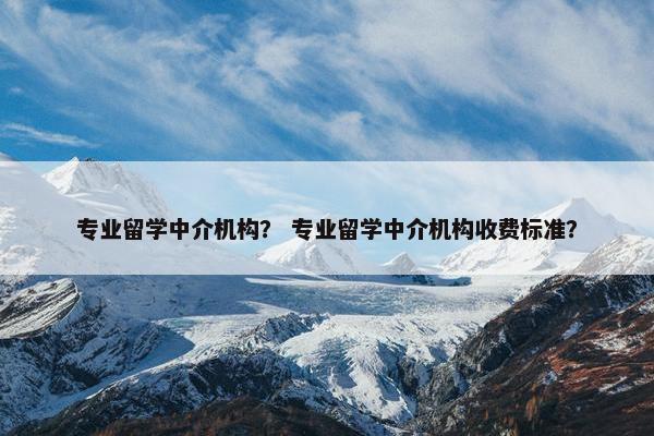 专业留学中介机构？ 专业留学中介机构收费标准？