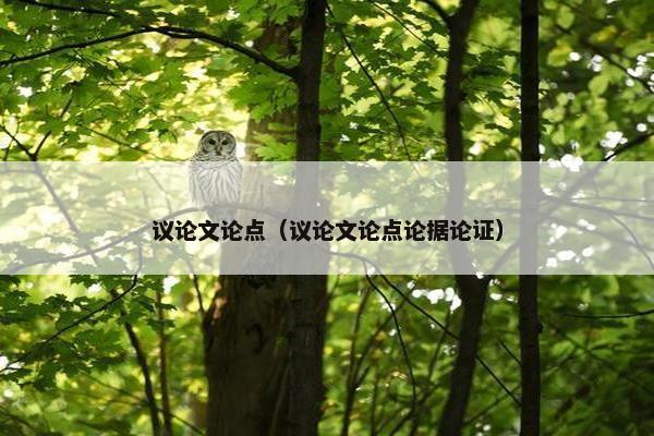 议论文论点（议论文论点论据论证）