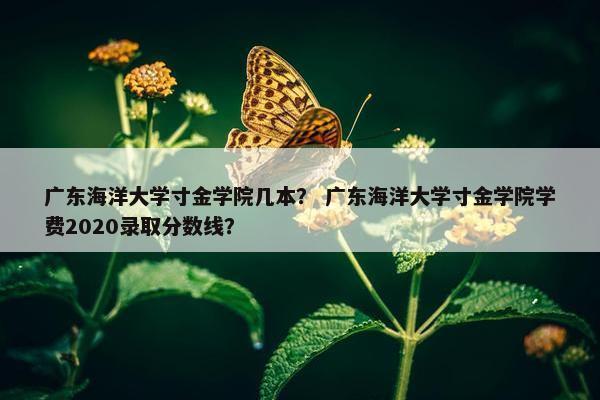 广东海洋大学寸金学院几本？ 广东海洋大学寸金学院学费2020录取分数线？