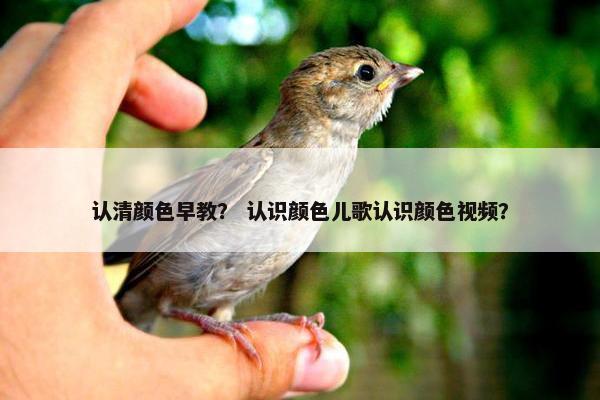 认清颜色早教？ 认识颜色儿歌认识颜色视频？