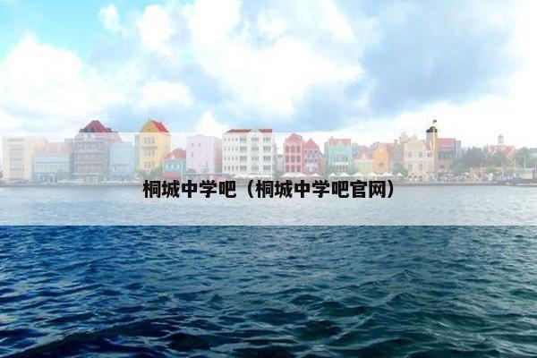 桐城中学吧（桐城中学吧官网）