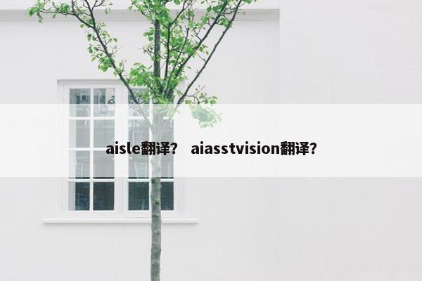 aisle翻译？ aiasstvision翻译？