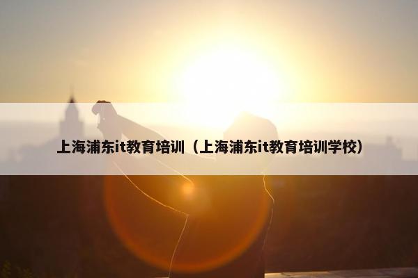 上海浦东it教育培训（上海浦东it教育培训学校）