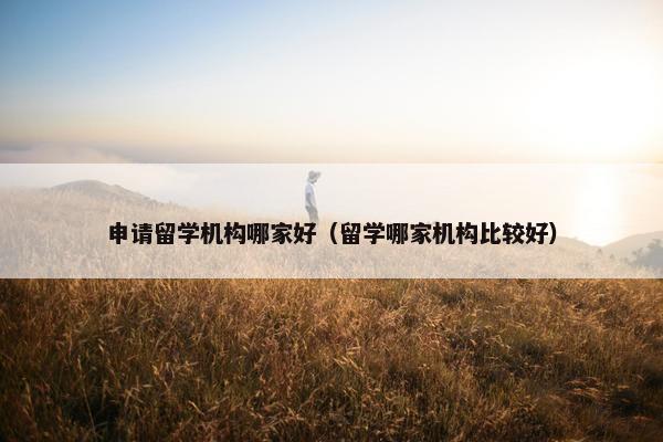 申请留学机构哪家好（留学哪家机构比较好）
