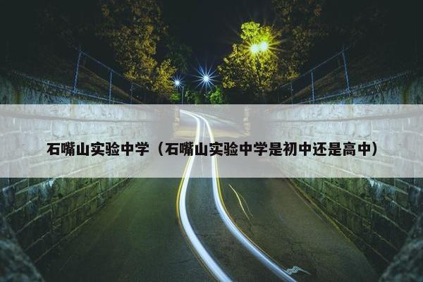 石嘴山实验中学（石嘴山实验中学是初中还是高中）