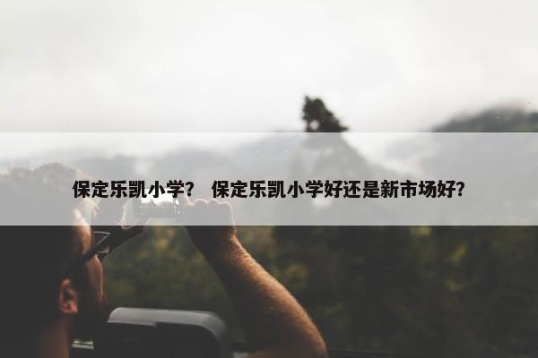 保定乐凯小学？ 保定乐凯小学好还是新市场好？