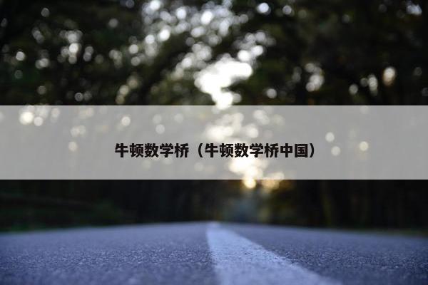 牛顿数学桥（牛顿数学桥中国）