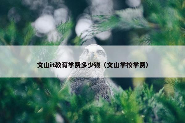 文山it教育学费多少钱（文山学校学费）