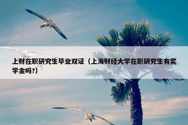 上财在职研究生毕业双证（上海财经大学在职研究生有奖学金吗?）