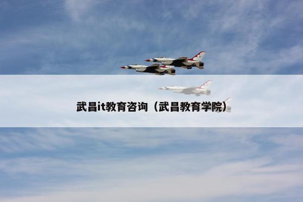 武昌it教育咨询（武昌教育学院）