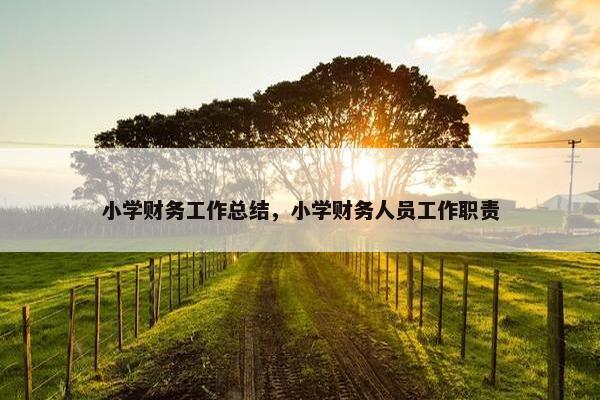小学财务工作总结，小学财务人员工作职责