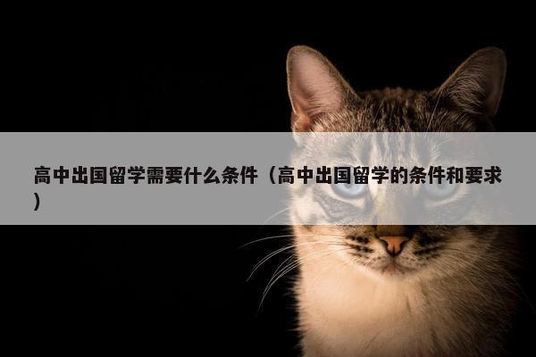 高中出国留学需要什么条件（高中出国留学的条件和要求）