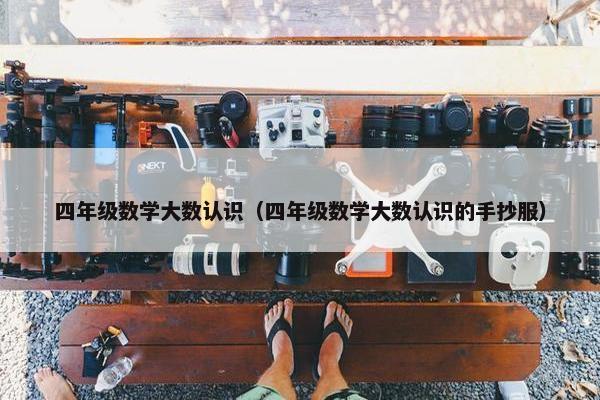 四年级数学大数认识（四年级数学大数认识的手抄服）