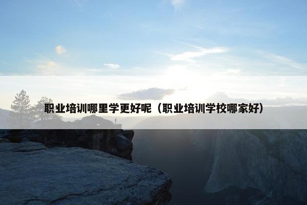 职业培训哪里学更好呢（职业培训学校哪家好）