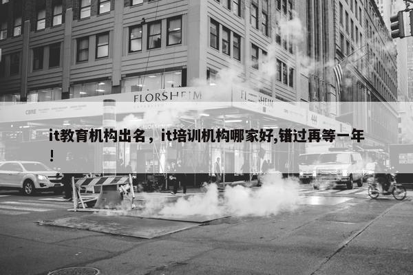 it教育机构出名，it培训机构哪家好,错过再等一年!