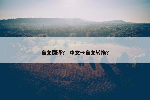 盲文翻译？ 中文→盲文转换？