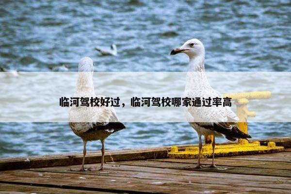 临河驾校好过，临河驾校哪家通过率高