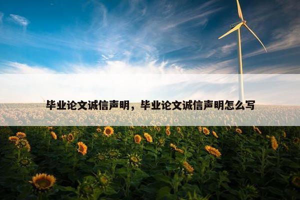 毕业论文诚信声明，毕业论文诚信声明怎么写