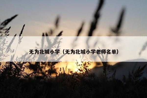 无为北城小学（无为北城小学老师名单）