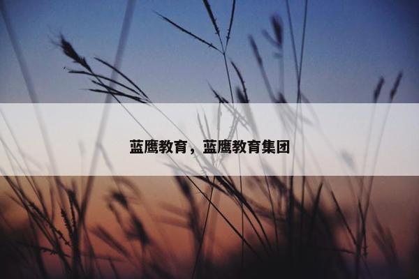蓝鹰教育，蓝鹰教育集团