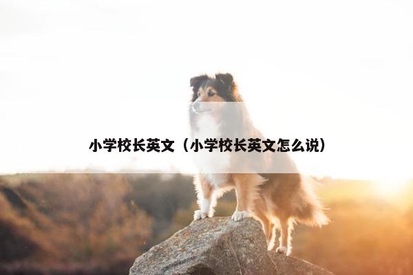 小学校长英文（小学校长英文怎么说）