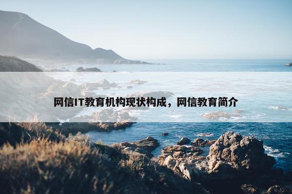网信IT教育机构现状构成，网信教育简介