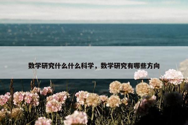 数学研究什么什么科学，数学研究有哪些方向
