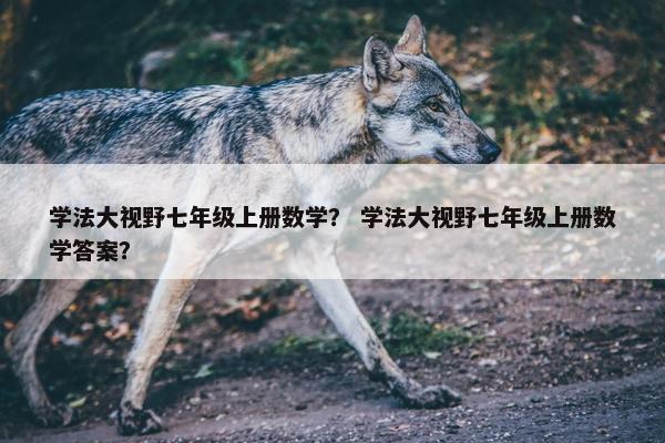 学法大视野七年级上册数学？ 学法大视野七年级上册数学答案？