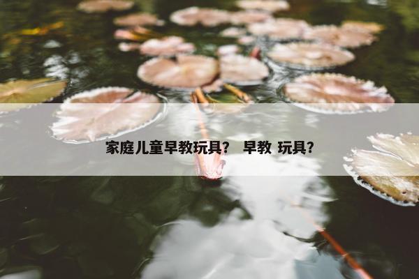 家庭儿童早教玩具？ 早教 玩具？