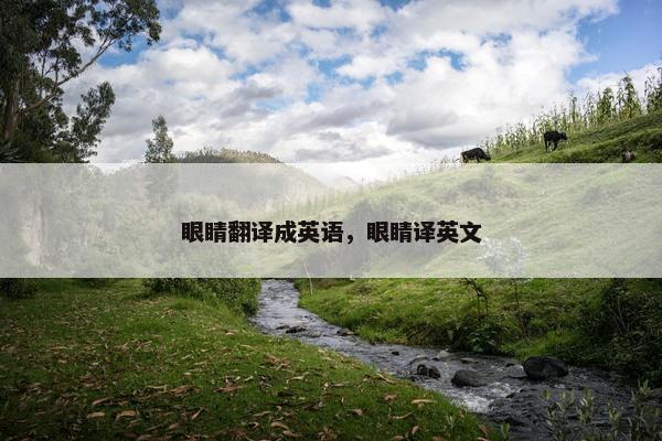眼睛翻译成英语，眼睛译英文