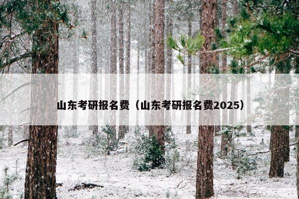 山东考研报名费（山东考研报名费2025）