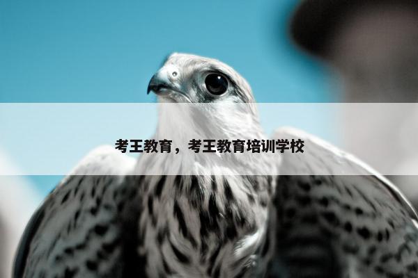 考王教育，考王教育培训学校