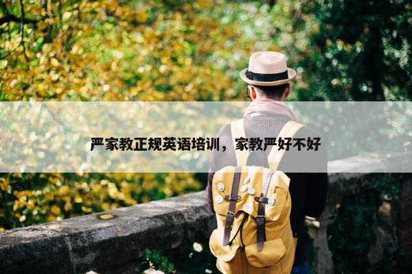 严家教正规英语培训，家教严好不好