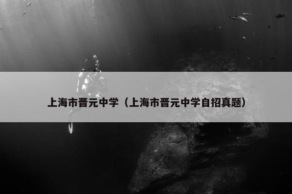 上海市晋元中学（上海市晋元中学自招真题）