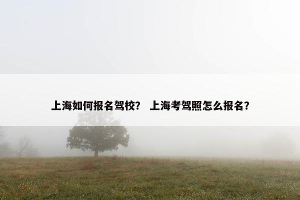 上海如何报名驾校？ 上海考驾照怎么报名？