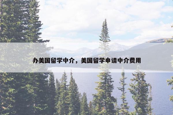 办美国留学中介，美国留学申请中介费用