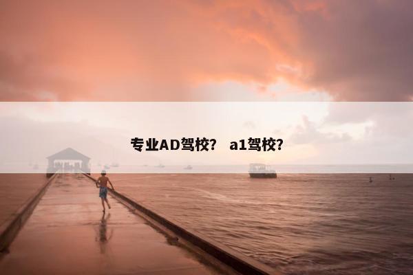 专业AD驾校？ a1驾校？