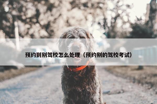预约到别驾校怎么处理（预约别的驾校考试）