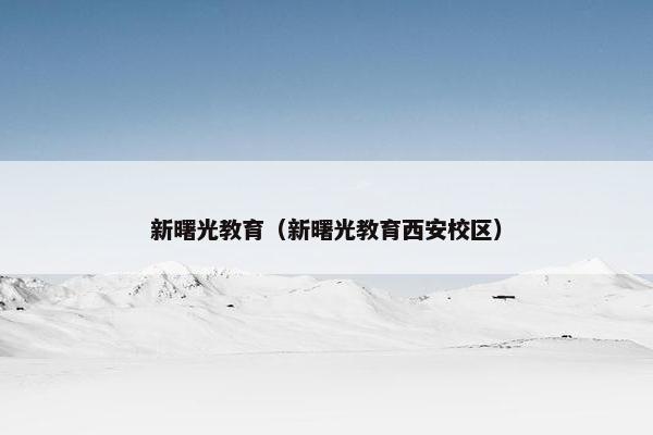 新曙光教育（新曙光教育西安校区）
