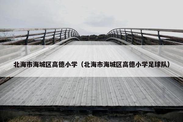 北海市海城区高德小学（北海市海城区高德小学足球队）