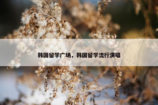 韩国留学广场，韩国留学流行演唱