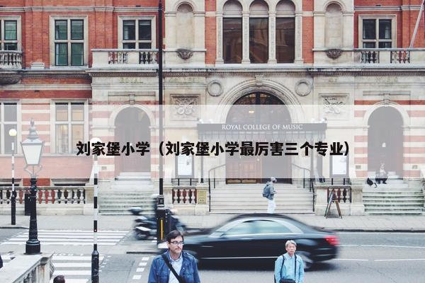 刘家堡小学（刘家堡小学最厉害三个专业）