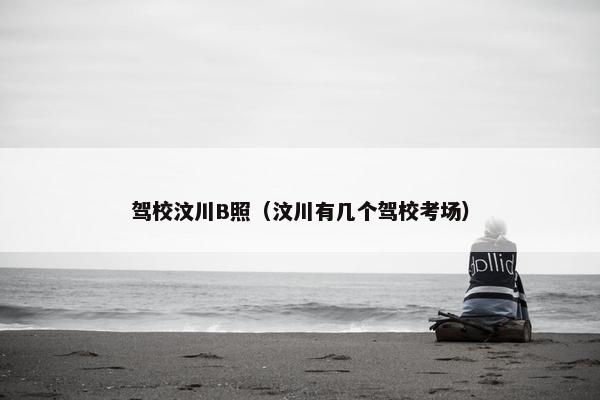 驾校汶川B照（汶川有几个驾校考场）
