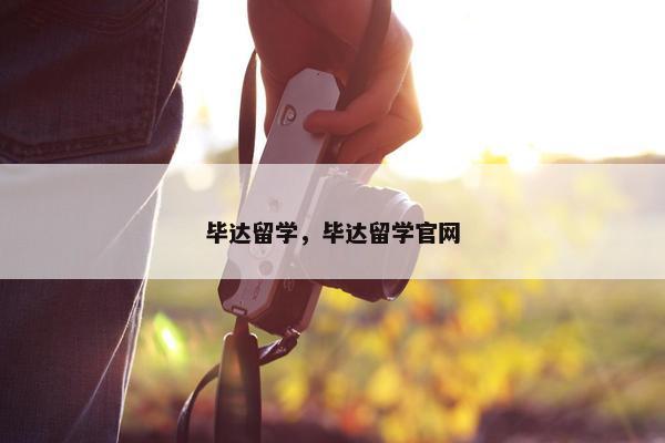 毕达留学，毕达留学官网