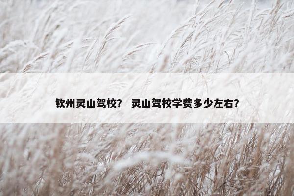 钦州灵山驾校？ 灵山驾校学费多少左右？