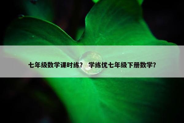 七年级数学课时练？ 学练优七年级下册数学？
